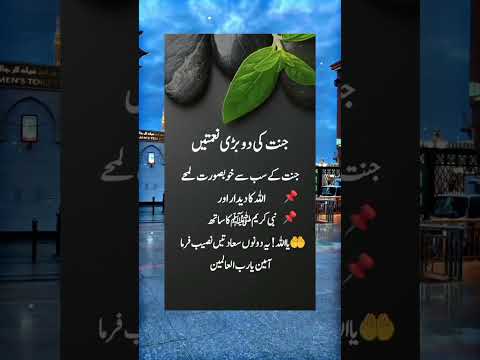 جنت کی دو بڑی نعمتیں#shortvideo #islamicvedio #youtubeshorts #fyp #shorts