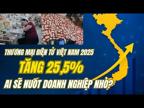 Thương mại điện tử Việt Nam 2025: Tăng trưởng 25,5% – Cơ hội hay bẫy với doanh nghiệp nhỏ?