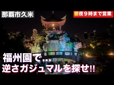 那覇市内に中国の…（福州園）　2025/８