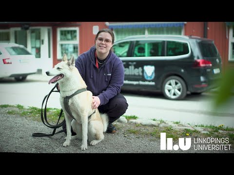 Kandidatprogram i djurpsykologi – träffa alumnen Linnea