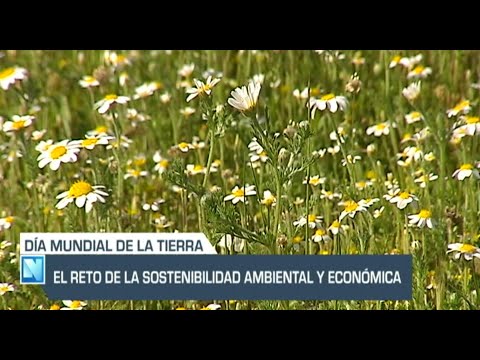 El Campo | El reto de la sostenibilidad ambiental y económica | 22/04/24
