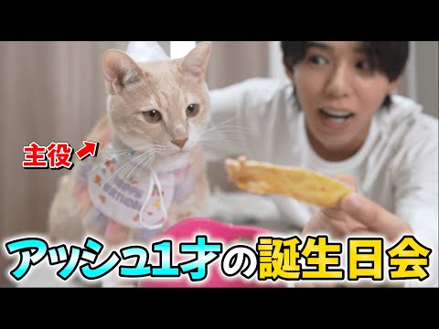 保護した猫が一歳になったお祝いパーティーを開きました！！