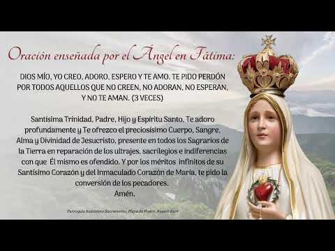 Santa Misa II  Domingo Tiempo Ordinario - 16 de enero de 2022