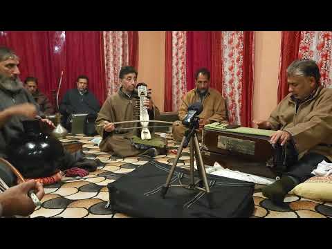 saaz