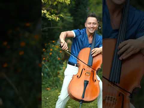 Wellerman 🎻