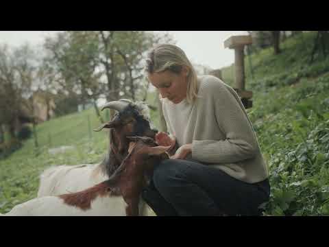 اللغة السرية للحيوانات: محادثات لا تسمعها الآذان!