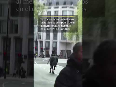 Caos en Londres tras escaparse varios caballos del ejército británico #shorts