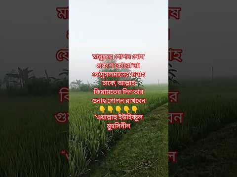 তুমি কি জানো, কারও গুনাহ ঢেকে দিলে আল্লাহ তোমার গুনাহ ঢেকে দেন? #তওবা #ক্ষমা #ইসলাম