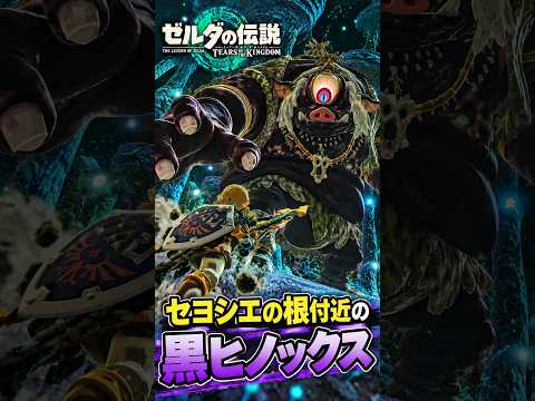 セヨシエの根付近の黒ヒノックス|ゼルダの伝説 ティアーズ オブ ザ キングダム Nintendo Switch 2 Edition #shorts