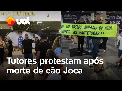 Caso Joca: tutores protestam em aeroporto contra morte de Golden
