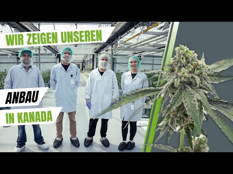 Cannabisanbau in Kanada mit Four 20 Pharma!🍁