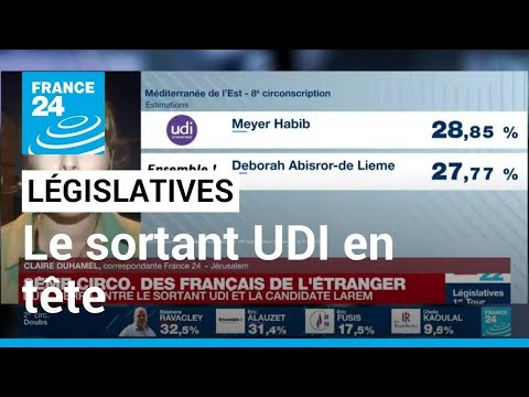 Législatives : le sortant UDI en tête dans la 8e circo. des Français à l'étranger • FRANCE 24