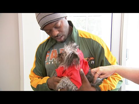 Florida man reunited with dog lost while visiting Chicago last year