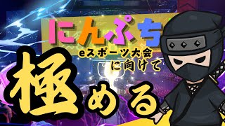 eスポーツ大会に向けて練習する会【 #にんぷち 】