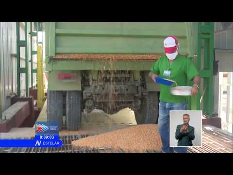 Nueva planta de secado de granos en Cuba