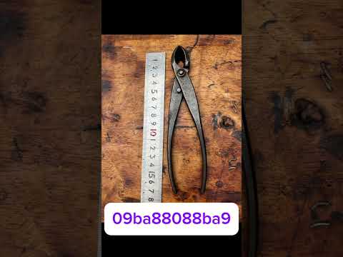 Giao lưu chia sẽ cùng ae đam mê nghệ thuật tools bonsai #bonsai #bonsaitihon #bonsaiart