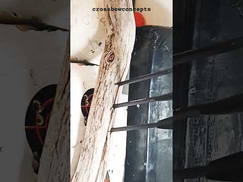 "Einsatzpfeile gegen Treibholz" PD-5 Steambow 135 lbs & die Nordsee 😉 #crossbowbolts #durability