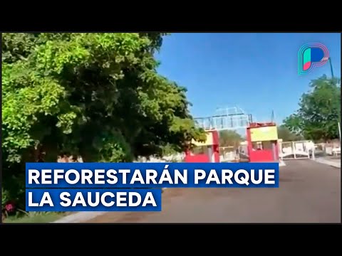 Reforestarán Parque La Sauceda de Hermosillo tras convenio entre Gobierno de Sonora y Conafor