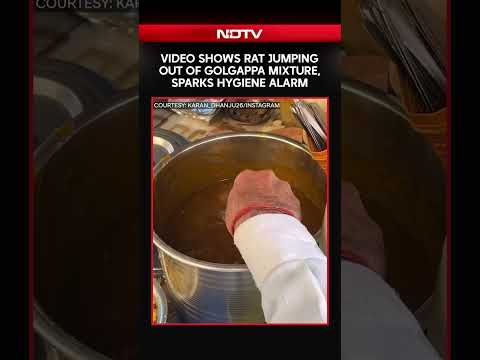 Viral Video Shows Rat Jumping Out Of Golgappa Mixture, Sparks Hygiene Alarm