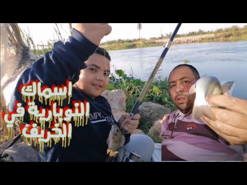 الصيد على النوبارية مع طبخ الكبدة 