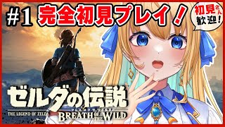【ゼルダの伝説ブレス オブ ザ ワイルド】完全初見！伝説への第一歩！！【ハーネル・グウテン/VTuber】
