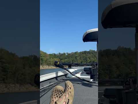 Beautiful day on the lake #music #lifecouldbeadream #fishing #lake #roughriver