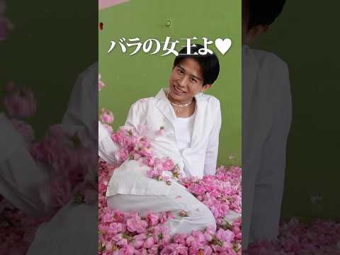ダマスクローズに囲まれて、一瞬でバラの女王に🤍小田切ヒロのモロッコvlog