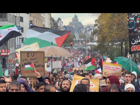 Tens of thousands of people join demonstration in Brussels in support of Palestinian people