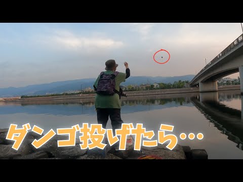 #402【ダンゴ】ダンゴ釣りで「またお前か～…」コーンで〇〇しか来ない日の絶望…