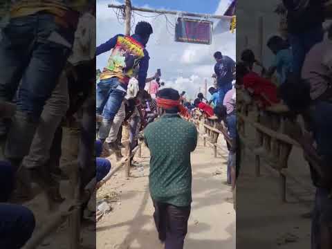 ❌ SUBSCRIBE TO ALL♨️🔥#nareshvlog#bull#shortsviral#jallikattu#eruthukattu#love#shortvideos#subscribe