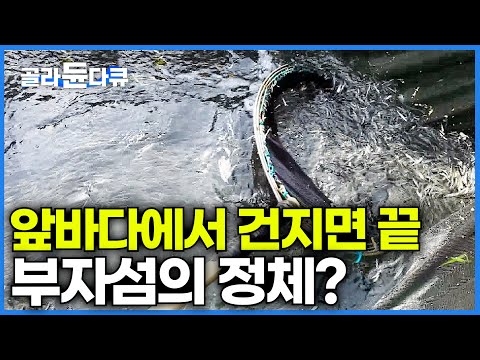 살기만 해도 돈벌이 보장. 3분 거리 앞바다에서 물고기 건지면 충분하다는 부자섬의 정체│사천 신수도│한국기행│#골라듄다큐