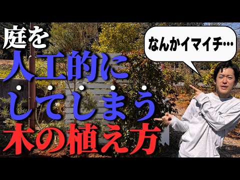 【実用的で簡単】木をほんの少し傾けるだけで見違えるほどのお庭に