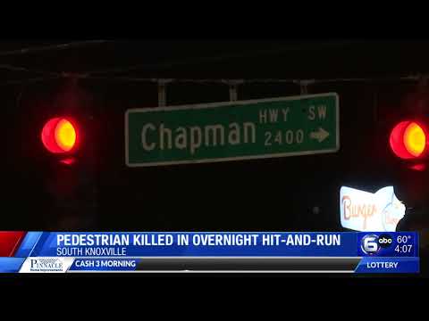 Pedestrian killed in overnight hit-and-run
