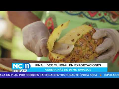 Piña de Costa Rica sería líder mundial en exportaciones