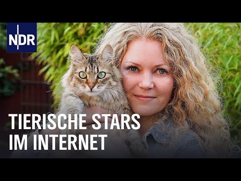 Haustiere als Social-Media-Stars | Die Nordreportage | NDR Doku