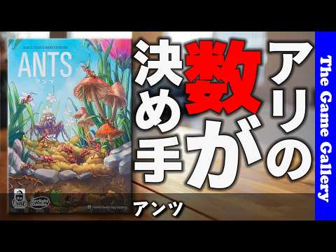【アンツ】アリを育ててパワーに変える!陣取り×エンジン構築 / ボードゲーム レビュー