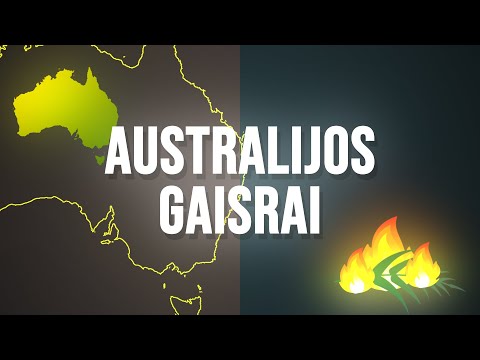 Video: Trumpai apie Australijos gaisrus - ir pamatai, kad daug ką išpūtėme 