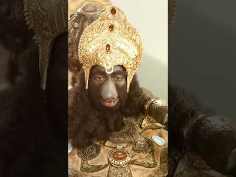 ये कैसे भयंकर दानव है हनुमान जी ? #hanuman #bhakti #reels #trending #viral #feed #ytshorts
