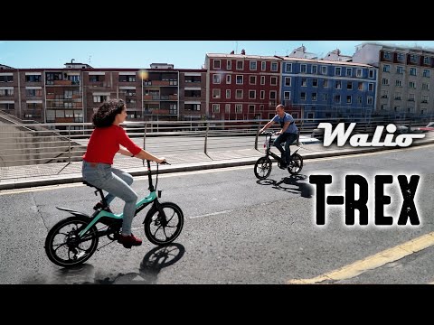 Walio T-REX la e-Bike de aleación de magnesio | 4K