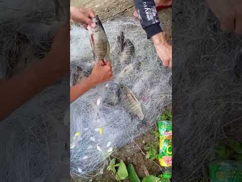 hết biển vào sông thôi 😂