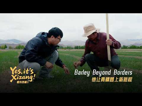 Yes, it's Xizang! II: Barley beyond borders