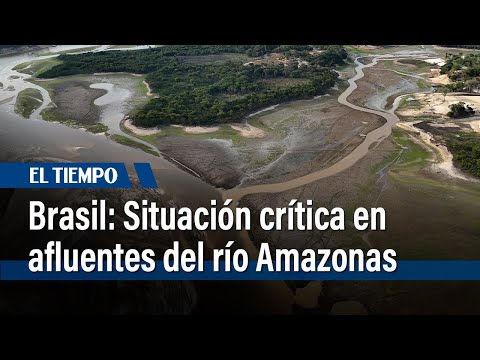 Situación crítica en afluentes del río Amazonas por sequía en Brasil | El Tiempo