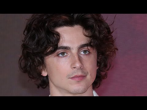 We Can't Stop Staring At Timothée Chalamet's Transformation