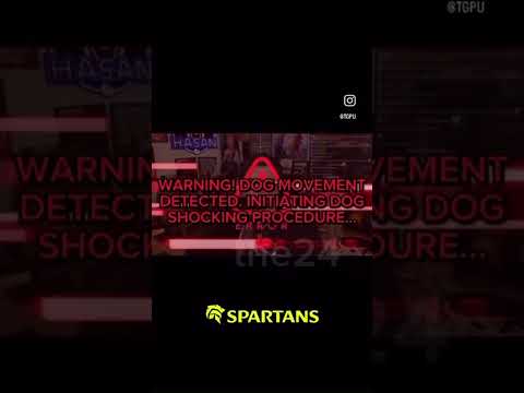 Dog movement detected  #meme