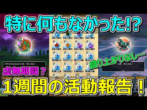 【ドラクエウォーク】特に何もなかったかも…。1週間の活動報告・プレイ状況共有！
