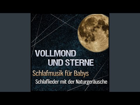 Weißes Rauschen