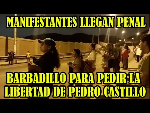 NACIONES UNIDAS Y OEA PIDEN AL GOBIERNO PERUANO LIBERAR PRESIDENTE PEDRO CASTILLO..