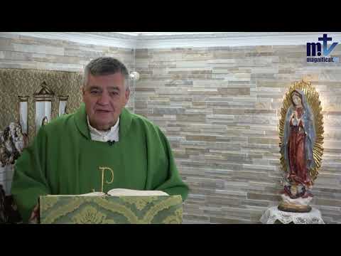 ¿Abrazas la cruz de Cristo? | Homilía de Hoy: Sábado, XXV del T.O. 28-09-24 | P. Santiago Martín FM