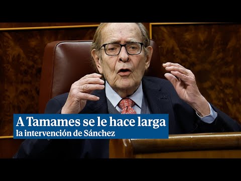 Tamames ironiza sobre la larga intervención de Sánchez
