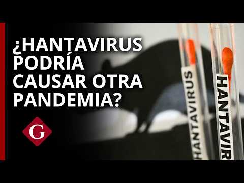 HANTAVIRUS andino rompe CERCO SANITARIO y genera ALERTA MUNDIAL